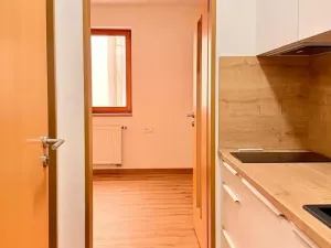 Pronájem bytu 1+kk, Praha - Žižkov, Seifertova, 21 m2