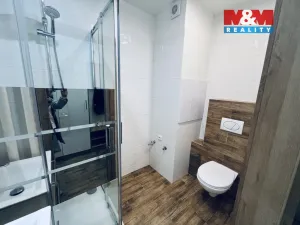 Pronájem bytu 2+1, Český Těšín, U Mlékárny, 52 m2