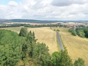 Prodej pole, Nečtiny, 45332 m2