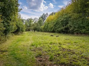 Prodej pozemku pro bydlení, Uhersko, 3765 m2