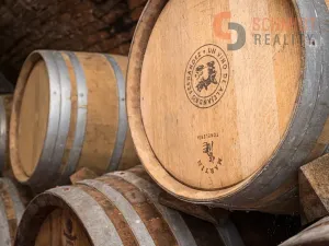 Prodej vinného sklepa, Mikulov, 1. května, 80 m2