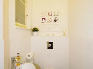 Pronájem bytu 4+1, Praha - Vinohrady, Anny Letenské, 160 m2