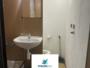 Prodej bytu 1+kk, Teplice, Přítkovská, 31 m2