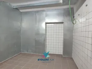 Pronájem obchodního prostoru, Teplice, Masarykova třída, 120 m2