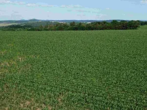 Prodej pozemku, Dobrkovice, 30313 m2