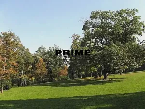 Pronájem bytu 4+1, Praha - Vinohrady, Anny Letenské, 160 m2