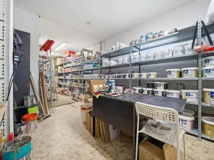 Prodej obchodního prostoru, Kravaře, Hlučínská, 205 m2