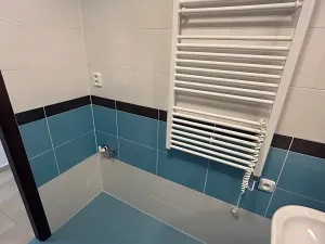 Pronájem bytu 2+1, Ostrava, Otakara Jeremiáše, 57 m2