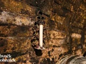 Prodej vinného sklepa, Hovorany, 69 m2