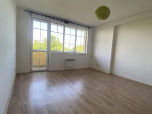 Pronájem bytu 1+1, Teplice - Nová Ves, Březová, 27 m2