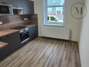 Pronájem bytu 1+1, České Budějovice, Novohradská, 33 m2