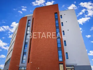 Pronájem bytu 1+kk, Brno, Plotní, 49 m2