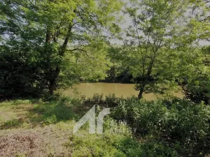 Prodej zahrady, Dyje, 412 m2