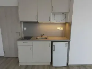Pronájem bytu 1+kk, Brno, Husitská, 40 m2