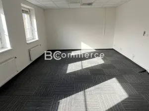 Pronájem skladu, Brno, Vídeňská, 1400 m2