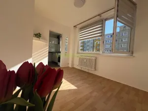 Pronájem bytu 1+kk, Praha - Modřany, Rodopská, 30 m2