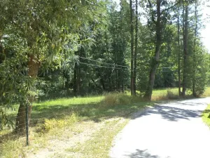 Dražba pozemku, Lipová, 386 m2