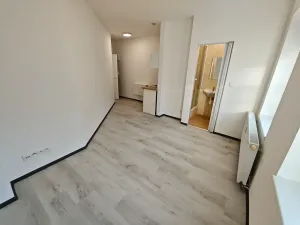 Pronájem bytu 1+kk, Praha - Hlubočepy, Na Zlíchově, 17 m2