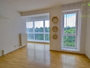 Prodej bytu 2+kk, Plzeň - Skvrňany, Waltrova, 90 m2