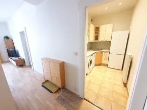 Pronájem bytu 2+kk, Praha - Vinohrady, Písecká, 60 m2
