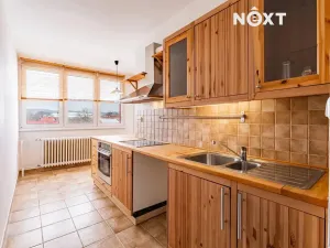 Pronájem bytu 2+1, Lukavice, 64 m2