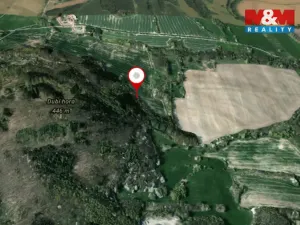 Prodej lesa, Kravaře, 4458 m2