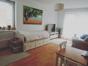 Pronájem bytu 1+kk, Hostivice, Žitná, 46 m2
