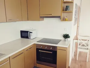 Pronájem bytu 1+kk, Hostivice, Žitná, 46 m2