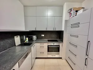 Prodej bytu 2+1, Brno, U Červeného mlýna, 57 m2