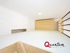 Pronájem bytu 1+kk, Praha - Nusle, Oldřichova, 19 m2