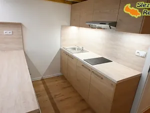 Pronájem bytu 1+kk, Ostrava, Palackého, 26 m2