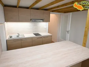 Pronájem bytu 1+kk, Ostrava, Palackého, 26 m2