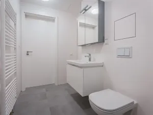 Pronájem bytu 2+kk, Praha - Žižkov, Seifertova, 41 m2