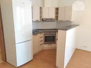 Pronájem bytu 1+kk, Praha - Hloubětín, Nepelova, 29 m2