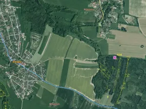 Prodej lesa, Srubec, 677 m2