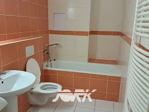 Pronájem bytu 1+kk, Pardubice, Pernerova, 35 m2