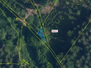 Dražba lesa, Jílové u Držkova, 88 m2