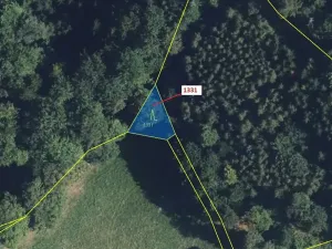 Dražba lesa, Kladky, 183 m2