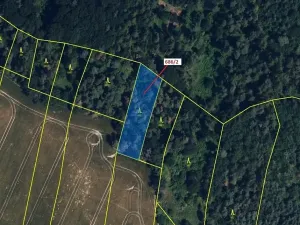 Dražba lesa, Přemyslovice, 1381 m2