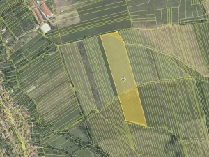 Pronájem sadu/vinice, Komňa, 50600 m2