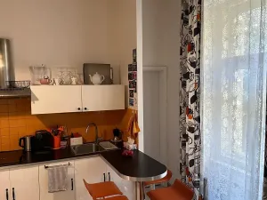 Pronájem bytu 1+kk, Praha - Žižkov, Lupáčova, 45 m2