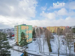 Prodej bytu 3+1, Zábřeh, Severovýchod, 68 m2