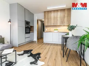 Pronájem bytu 1+kk, Kladno - Dubí, Ke křížku, 28 m2