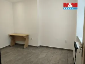 Pronájem obchodního prostoru, Ústí nad Labem - Klíše, Masarykova, 32 m2
