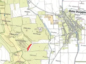 Prodej pole, Dolní Dunajovice, 9912 m2