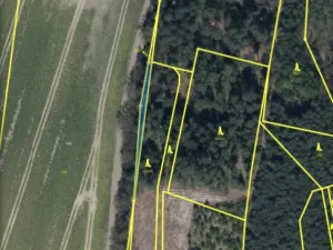 Prodej lesa, Veliny, 5028 m2