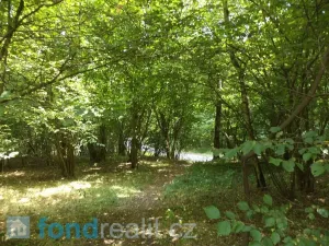 Prodej pozemku, Kaplice - Blansko, 19480 m2