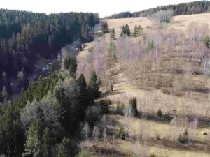 Prodej pole, Kraslice, 3869 m2