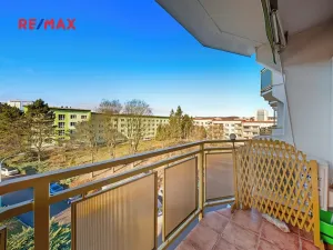 Pronájem bytu 1+1, Brno, Palackého třída, 32 m2