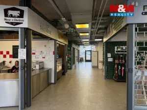 Pronájem obchodního prostoru, Hradec Králové - Třebeš, Ve Stromovce, 17 m2